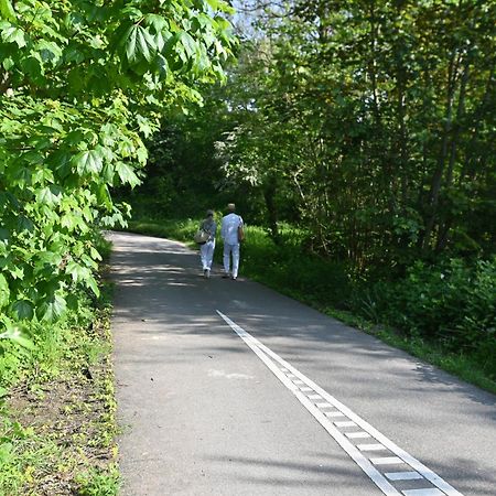 Tureluur - Boulevard De Wielingen 13B - Cadzand-Bad Luaran gambar